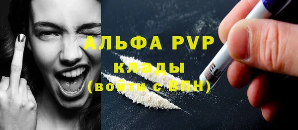 стаф Володарск