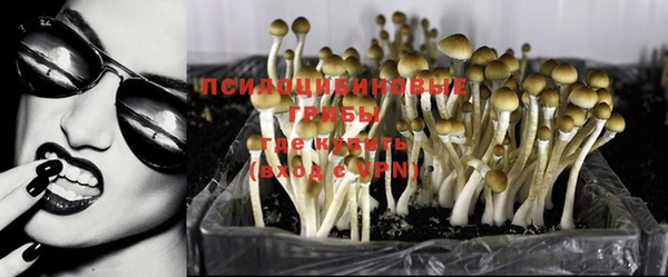 стаф Володарск