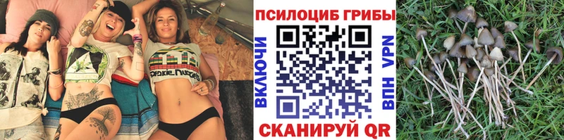 Псилоцибиновые грибы MAGIC MUSHROOMS  Зарайск 